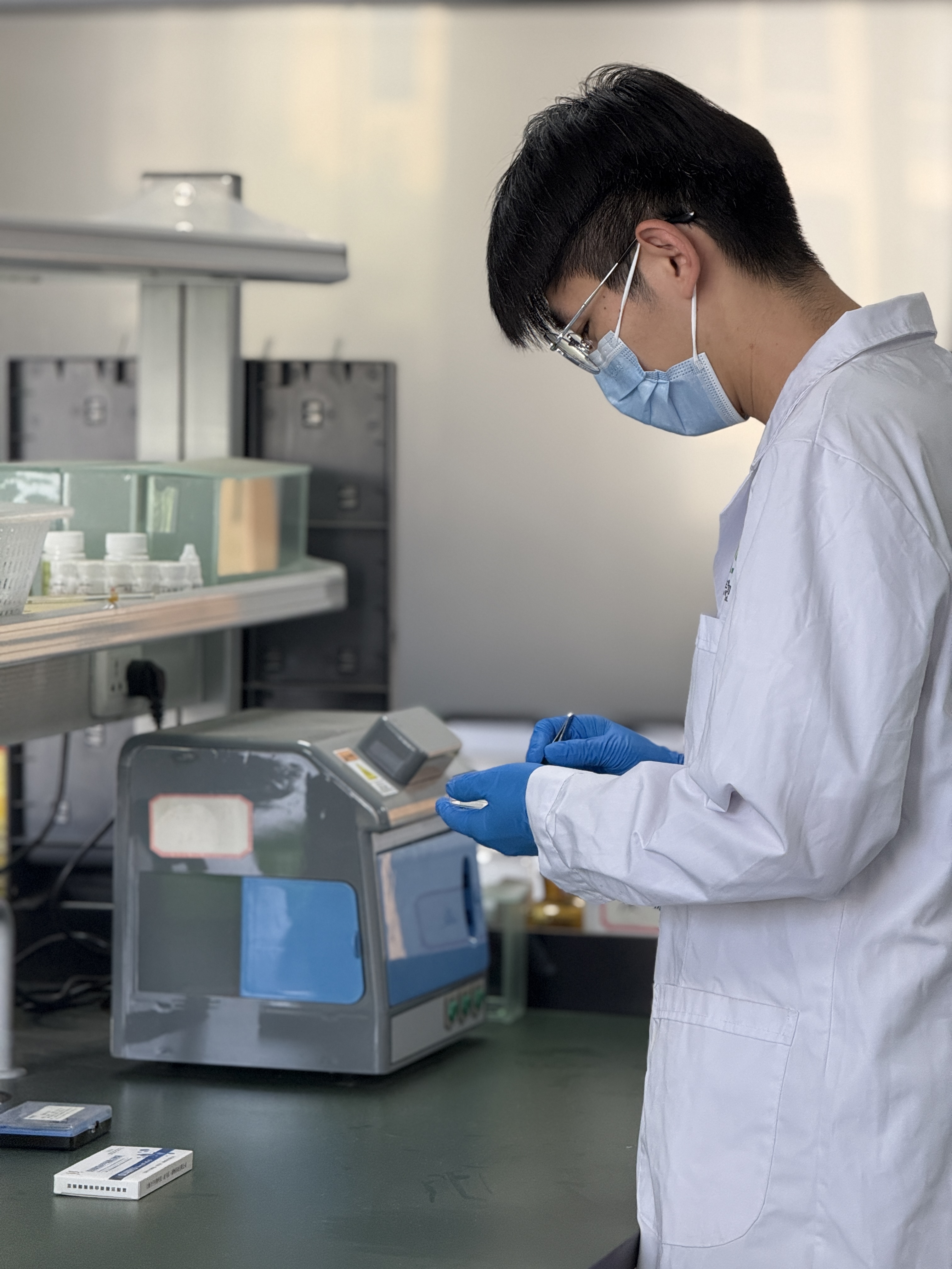 秋水仙碱微针制备 (2).jpg