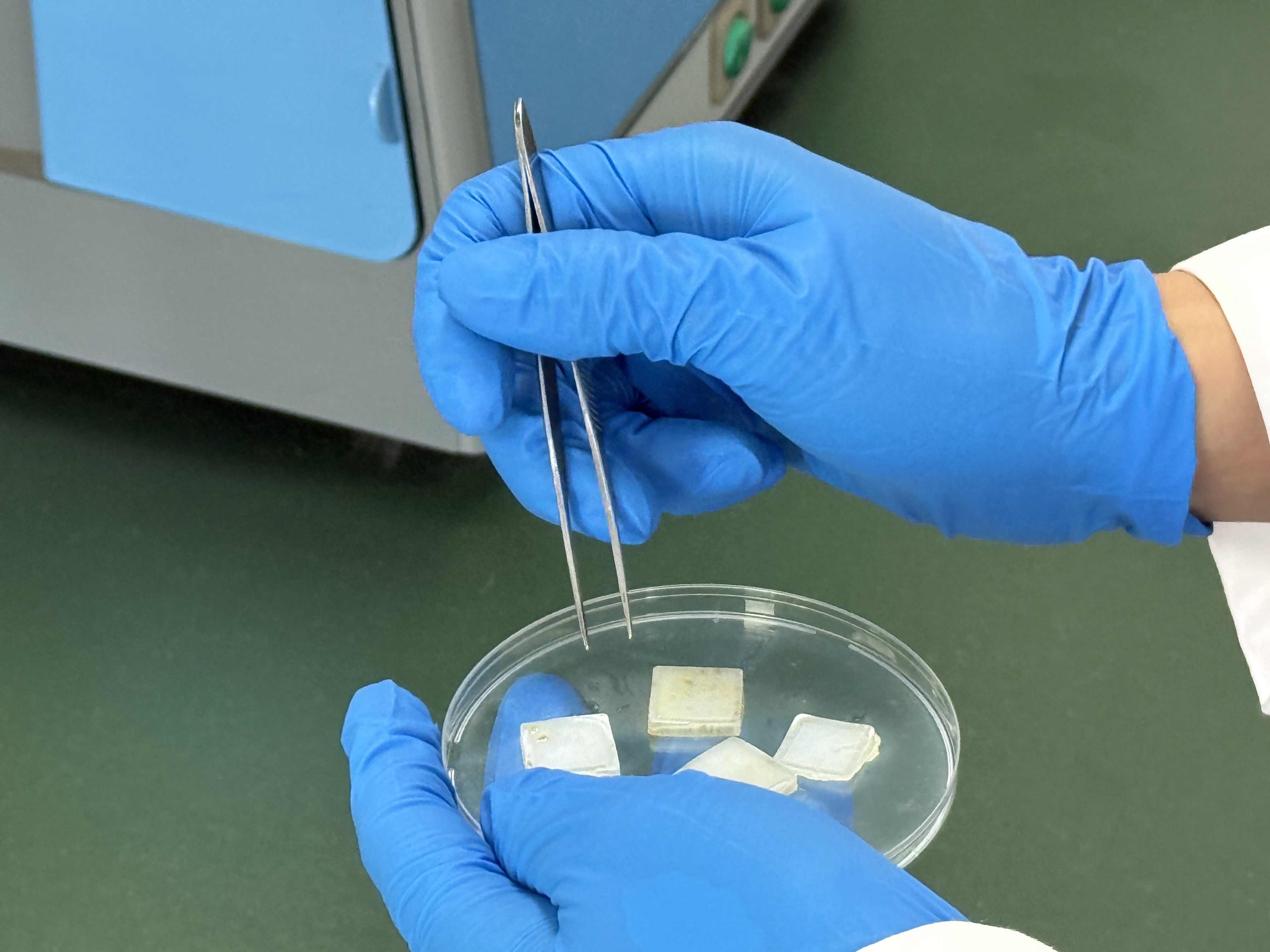 秋水仙碱微针制备 (3).jpg