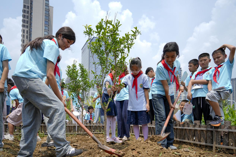 图片16.png 图片16.png