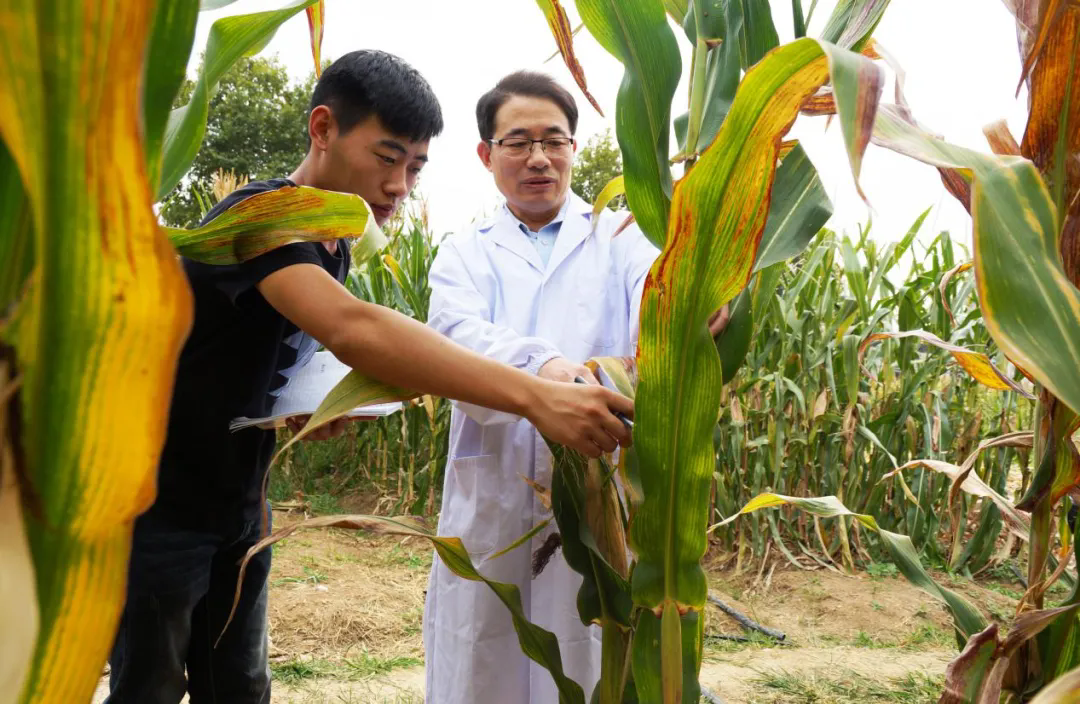 640_wx_fmt=png&from=appmsg&tp=webp&wxfrom=5&wx_lazy=1.webp (1).png